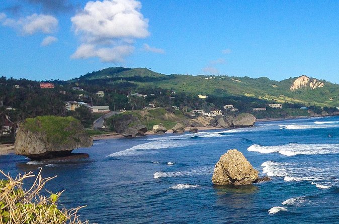 Half-Day Barbados Tour Harrisons Cave Hunte's Garden and Bathsheba - What the $140 price really covers