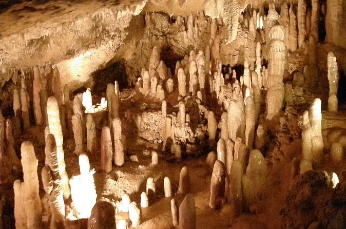 Half-Day Barbados Tour Harrisons Cave Hunte's Garden and Bathsheba - Pickup details that can make or break the day
