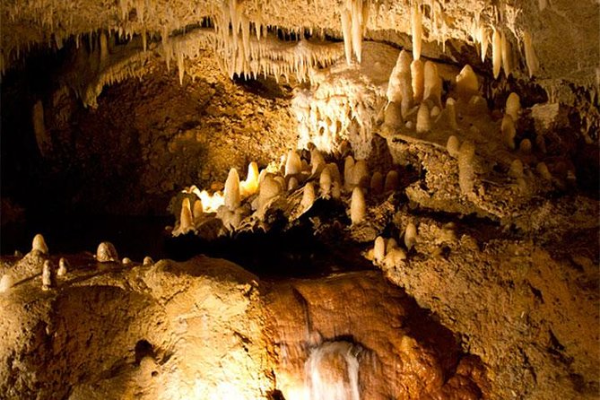 Half-Day Barbados Tour Harrisons Cave Hunte's Garden and Bathsheba - Hunte’s Garden: a quieter change of pace