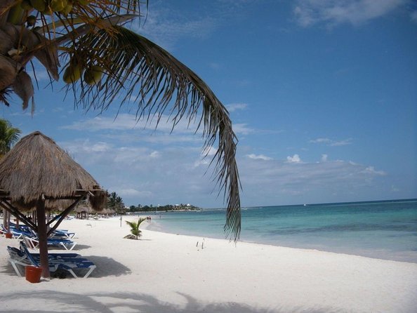 Half-Day Sea Turtle and Cenote Snorkeling Tour from Cancun & Riviera Maya - Two Mexican Caribbean highlights in five hours