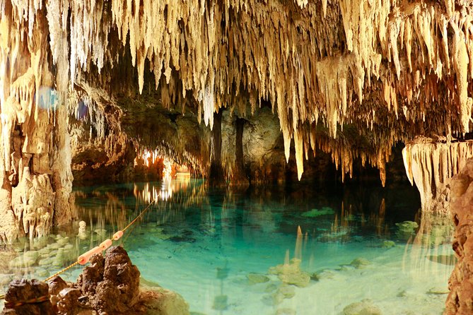 Half-Day Sea Turtle and Cenote Snorkeling Tour from Cancun & Riviera Maya - What is included, and what costs extra