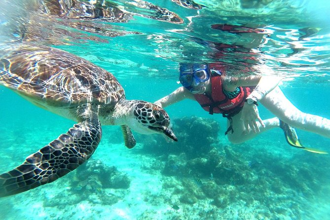 Half-Day Sea Turtle and Cenote Snorkeling Tour from Cancun & Riviera Maya - What to wear for reef rules and rough rock