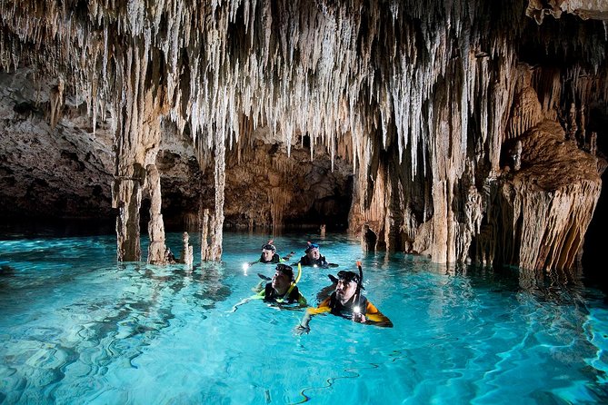 Half-Day Sea Turtle and Cenote Snorkeling Tour from Cancun & Riviera Maya - Who should book this tour?