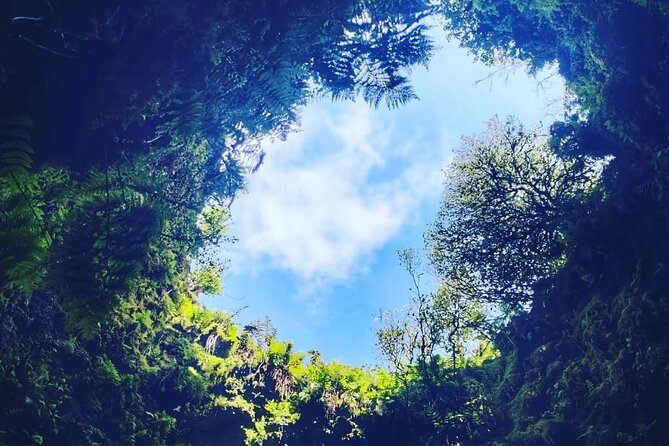 Half Day Tour to the Caves - Terceira’s volcanic story in one afternoon