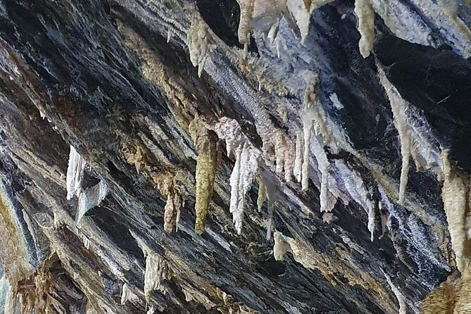Half Day Tour to the Caves - Biscoitos and the north coast