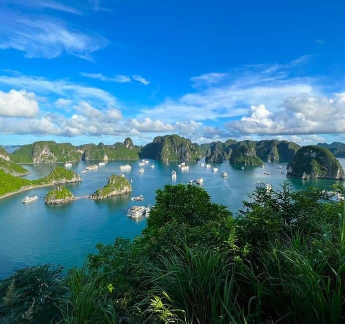 Halong 6 Hours Cruise: Kayak, Cave, Lunch, Beach & Island - Ti Top Island gives you two ways to spend your time