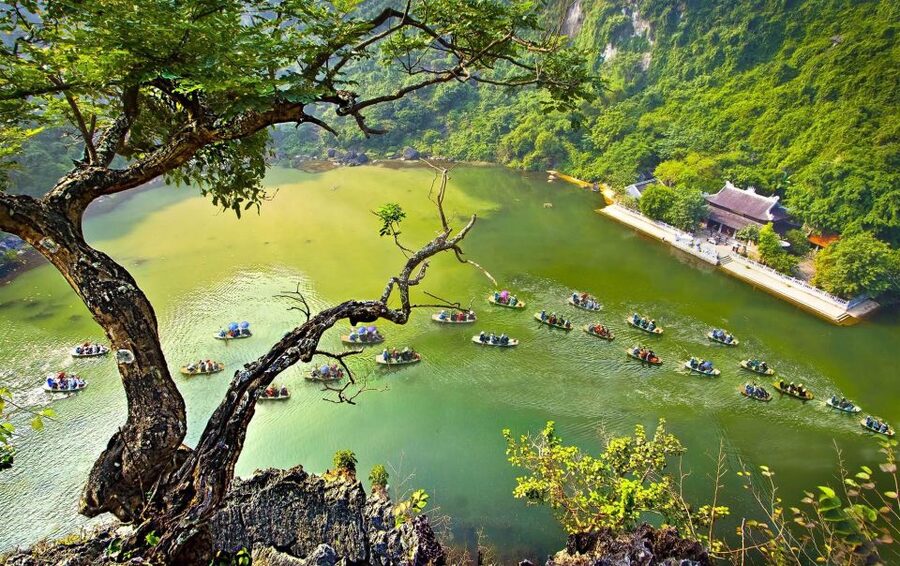 Hanoi: Hoa Lu, Trang An, and Mua Cave Full-Day Trip - Why this Ninh Binh day trip works so well