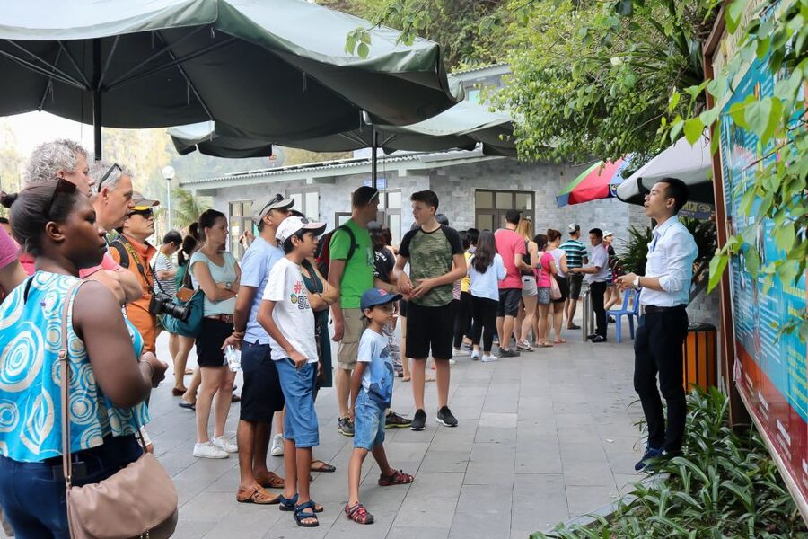 Hanoi: Islands & Caves Ha Long Cruise with Lunch & Kayaking - Guides, groups, and the pace of the day
