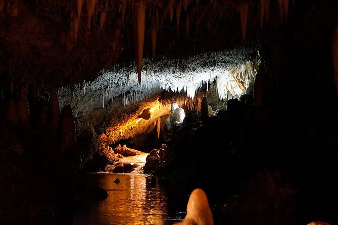 Harrison's Cave Tour in Barbados - The underground heart of Barbados