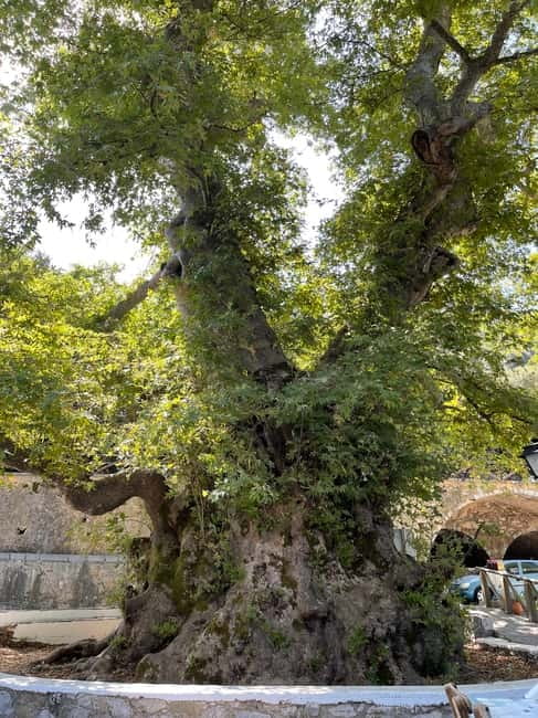 Heraklion: Knossos Zeus Cave Villages Olive Oil Factory Tour - Lunch with Cretan food and mountain views