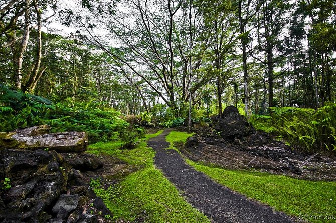 Hilo Shore Excursion: Volcano Safari Lava Caves & Black Sand - A scenic overlook, old trails, and ocean cliffs