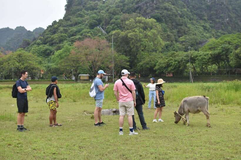 Hoa Lu Tam Coc Mua cave Day trip, best price - best selling - What the $20 price really covers