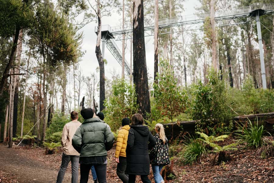 Hobart: Hastings Cave, Tahune Airwalk and Huon Tasting Trail - Key points to know before booking