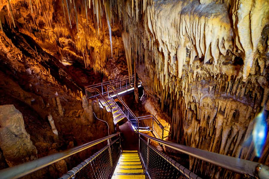 Hobart: Hastings Cave, Tahune Airwalk and Huon Tasting Trail - What Tahune Airwalk is best for