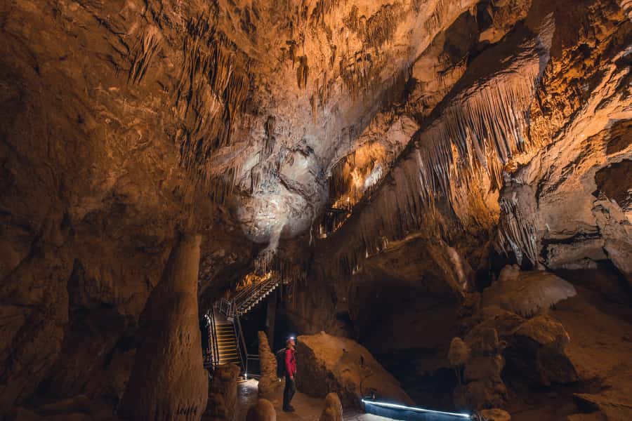Hobart: Hastings Cave, Tahune Airwalk and Huon Tasting Trail - Cider, apple pie, and the Huon Valley finish