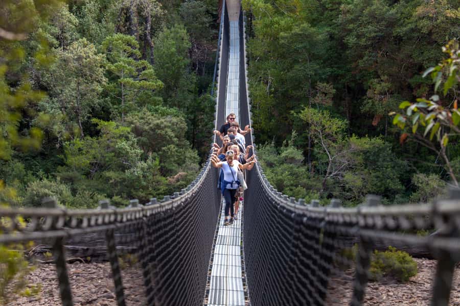 Hobart: Tahune Airwalk, Hastings Cave, Thermal Springs Tour - Key points to know before booking