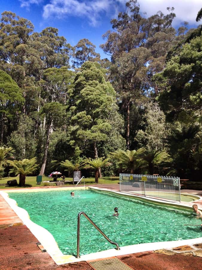 Hobart: Tahune Airwalk, Hastings Cave, Thermal Springs Tour - Swinging bridges and the Huon Pine Walk