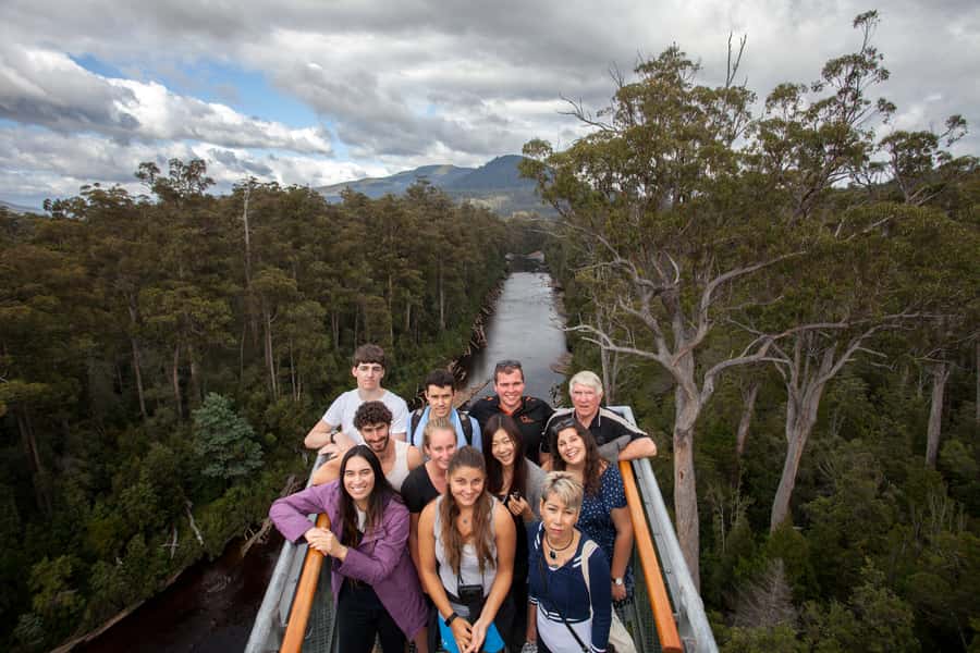 Hobart: Tahune Airwalk, Hastings Cave, Thermal Springs Tour - Hastings Caves and a 28°C thermal swim