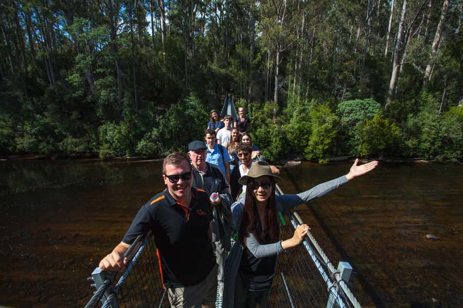 Hobart: Tahune Airwalk, Hastings Cave, Thermal Springs Tour - A full day for $145: where the value sits