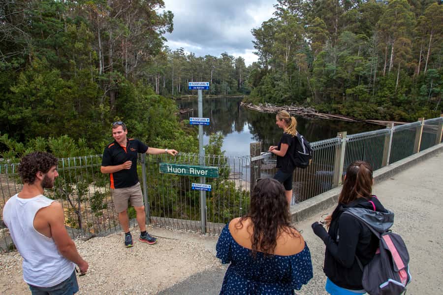 Hobart: Tahune Airwalk, Hastings Cave, Thermal Springs Tour - Fitness, weather, and what to pack
