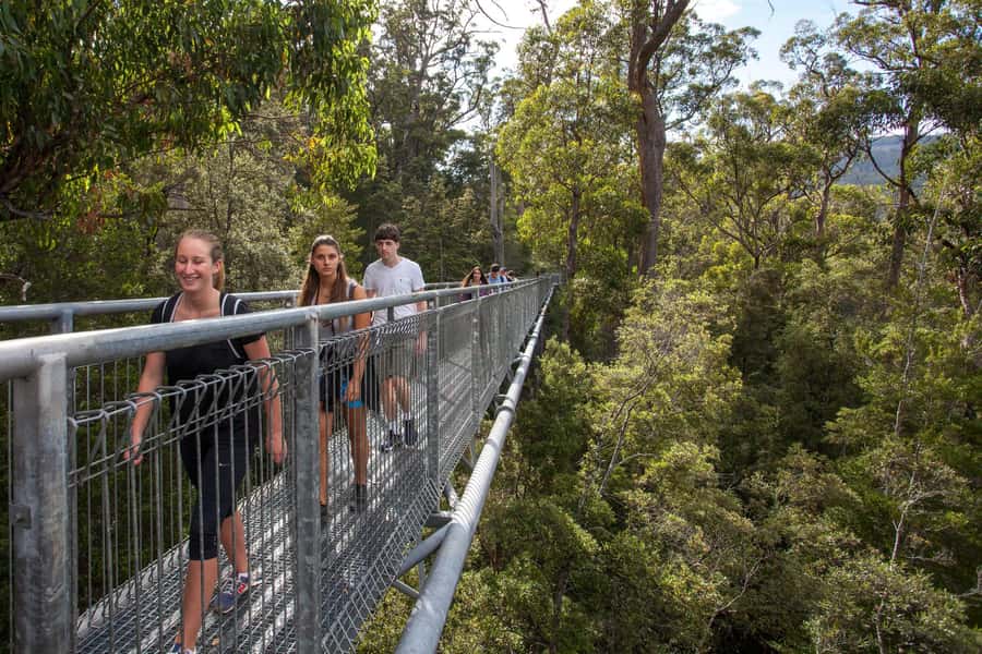 Hobart: Tahune Airwalk, Hastings Cave, Thermal Springs Tour - Who will get the most from this tour?