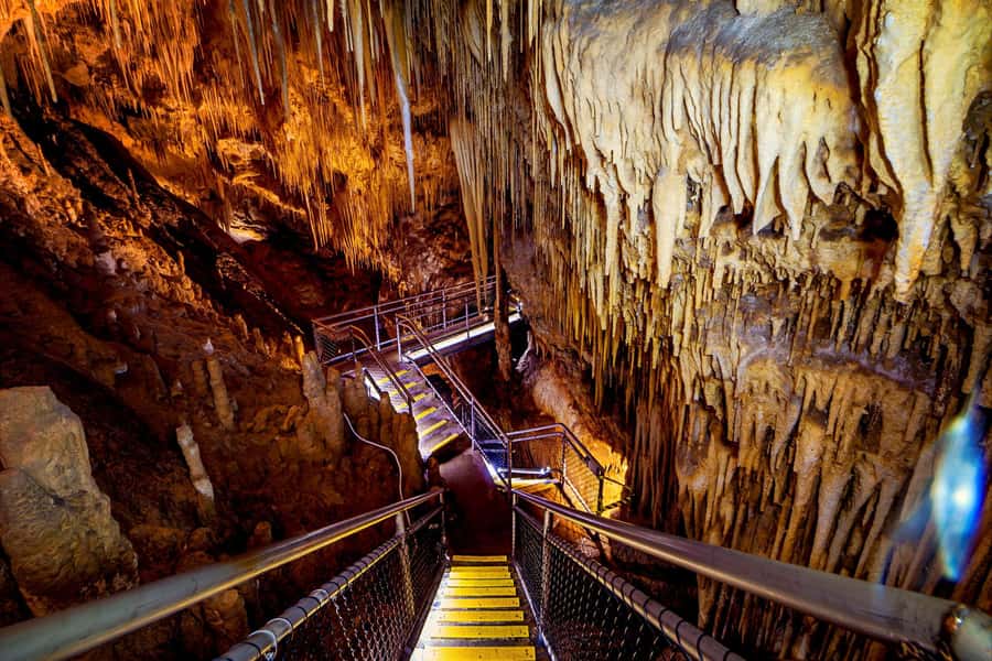 Hobart: Tahune Airwalk, Hastings Cave, Thermal Springs Tour - Tahune Airwalk: 104 stairs into the treetops