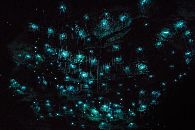 Hobbiton Movie Set & Waitomo Glow Worm Caves Private Tour - Hobbiton Movie Set: 2.5 hours among the Hobbit Holes