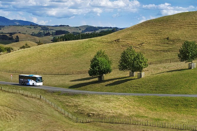 Hobbiton & Waitomo Caves Guided Tour from Auckland with Lunch - The road to Matamata and Hobbiton