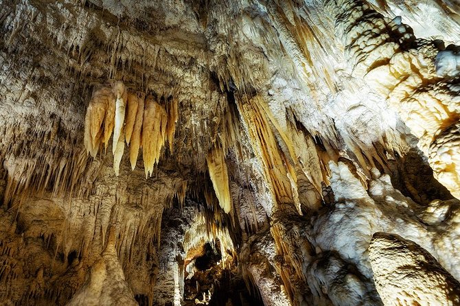 Hobbiton & Waitomo Caves Small Group Tour from Auckland inc Lunch - Lunch in Otorohanga before the caves