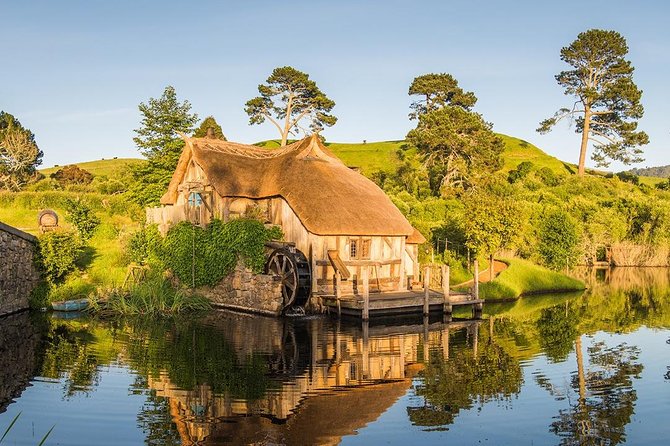 Hobbiton & Waitomo Caves Small-Group Tour W Lunch from Auckland - The drive back to Auckland