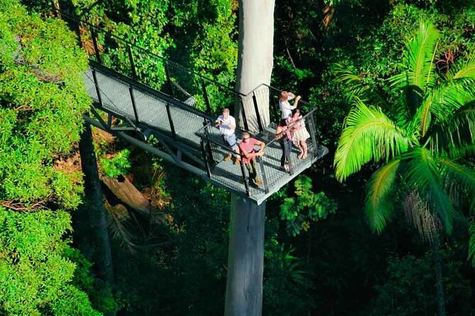 Hop on Hop off - Tamborine Rainforest Skywalk + Glow Worm Caves - The morning ride from Brisbane to the mountain