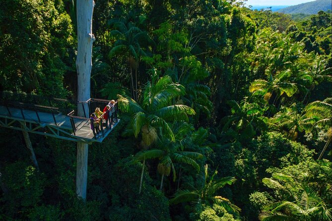 Hop on Hop off - Tamborine Rainforest Skywalk + Glow Worm Caves - What happens inside the Glow Worm Caves