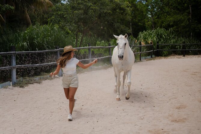 Horseback Riding and Cenote Swim from Cancun or Playa del Carmen - What the Rancho Bonanza Outing Is Really Like