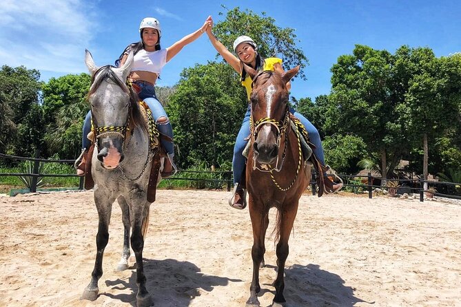 Horseback Riding and Cenote Swim from Cancun or Playa del Carmen - Meeting the Rescued Horses at the Ranch