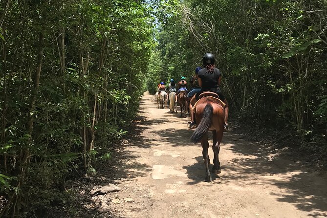 Horseback Riding plus ATV, Cenote, Ziplines, and Lunch - The horseback ride is calm, not a trail adventure