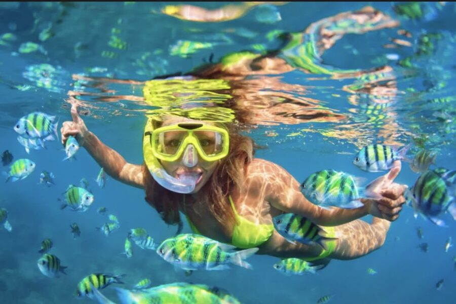Ibiza: Beach and Cave Snorkeling Tour by Boat - Practical advice before you go