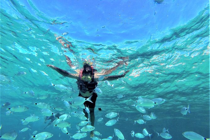 Ibiza Snorkeling Beach and Cave Tour - Key points to know before booking