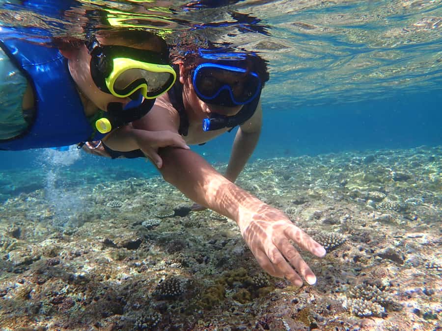 Ishigaki: Canoe or SUP at Kabira Bay＆Snorkeling at Blue Cave - Safety rules and comfort details that matter
