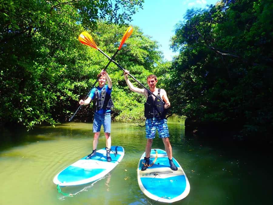 Ishigaki Island: SUP or Canoeing and Snorkeling at Blue Cave - Key points to know before booking