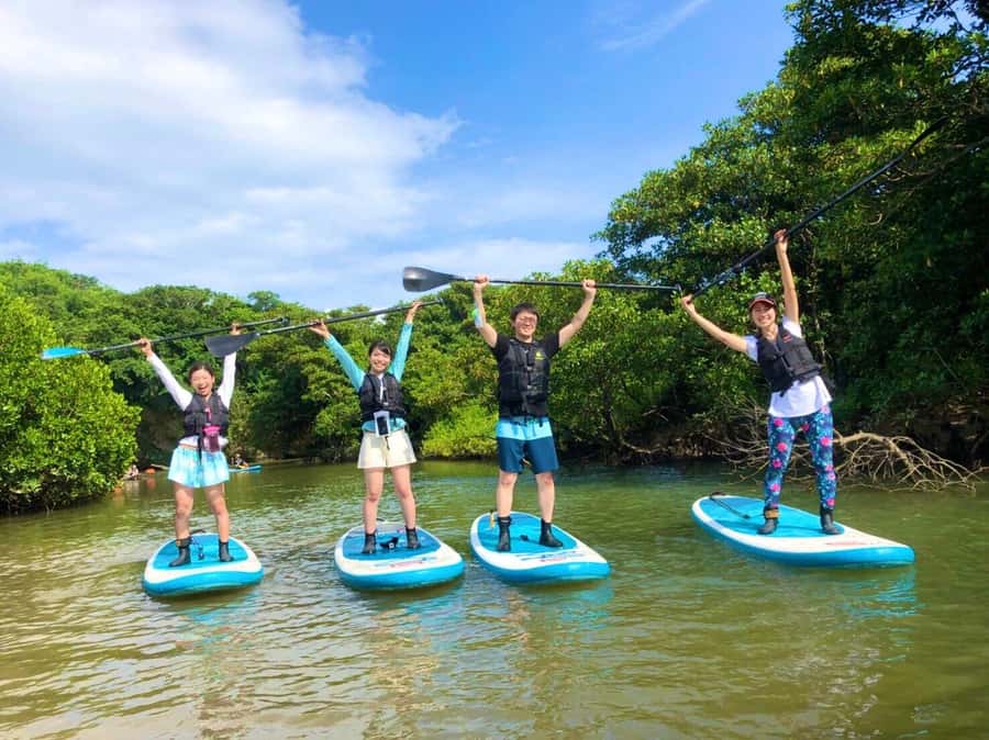 Ishigaki Island: SUP or Canoeing and Snorkeling at Blue Cave - A river morning beneath Ishigaki’s mangroves