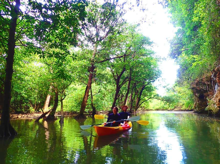 Ishigaki Island: SUP or Canoeing and Snorkeling at Blue Cave - Entering Ishigaki’s Blue Cave