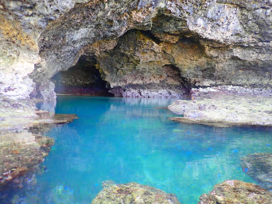 Ishigaki Island: SUP or Canoeing and Snorkeling at Blue Cave - How hard is the snorkeling?