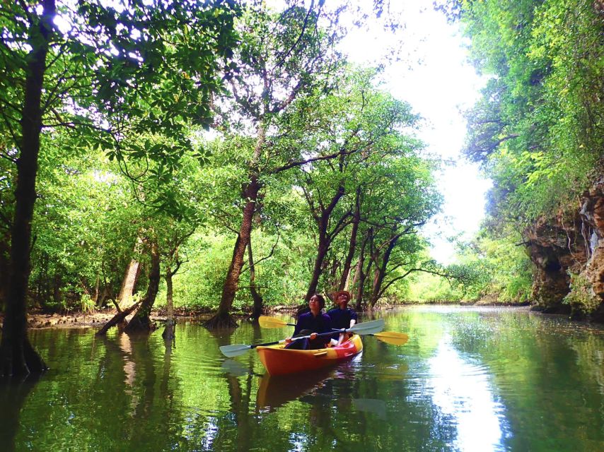 Ishigaki Island: SUP or Canoeing and Snorkeling at Blue Cave - The guides make a real difference