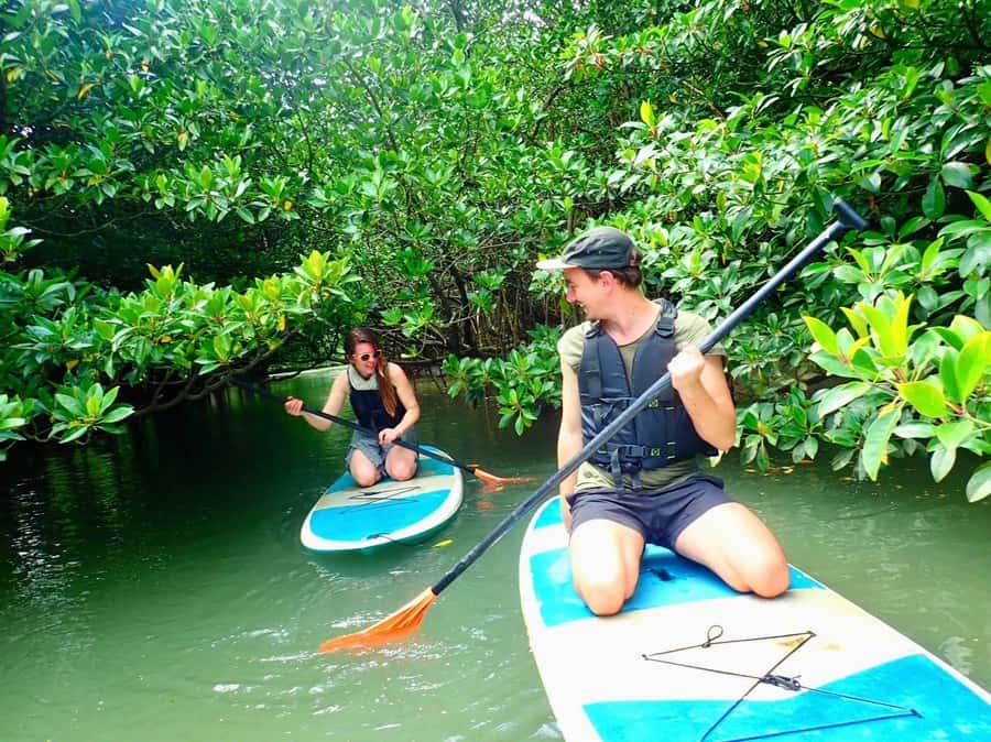 Ishigaki Island: SUP or Canoeing and Snorkeling at Blue Cave - What to bring and wear