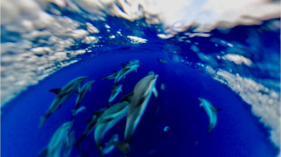 Isola Bella-Blue Grotto: Boat Tour, Snorkeling & Aperitif - The Sicilian aperitif at sunset