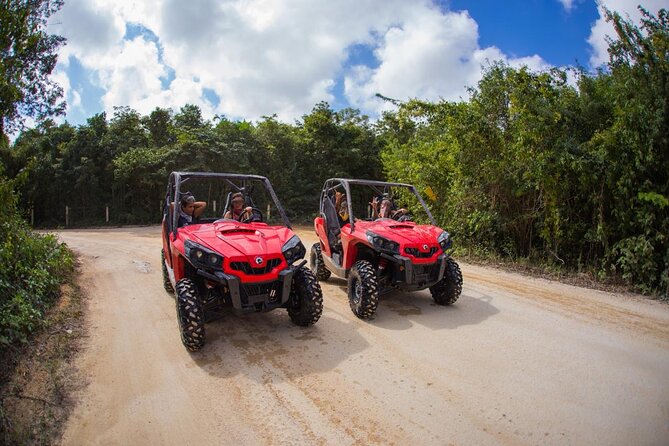 Jungle Buggy Tour from Playa del Carmen Including Cenote Swim - A dusty ride into the Riviera Maya forest