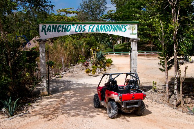 Jungle Buggy Tour from Playa del Carmen Including Cenote Swim - Guides who add more than directions