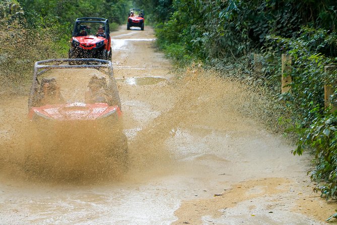 Jungle Buggy Tour from Playa del Carmen Including Cenote Swim - Pickup from Playa del Carmen