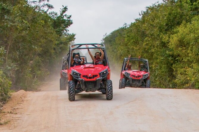 Jungle Buggy Tour from Playa del Carmen Including Cenote Swim - What the $110.29 price really covers