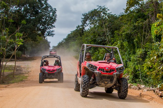 Jungle Buggy Tour from Playa del Carmen Including Cenote Swim - The natural cenote stop